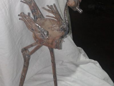 النعامة